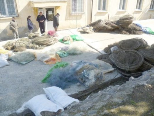 Descinderi la braconieri